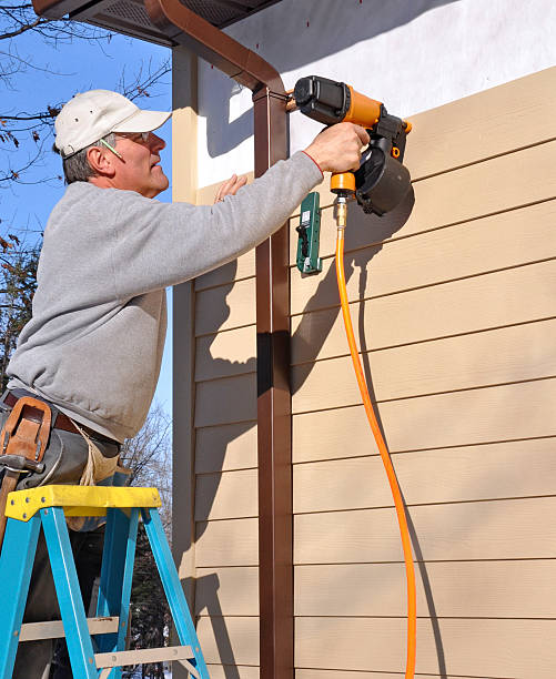 Best Custom Trim and Detailing for Siding  in Clearwater, MN